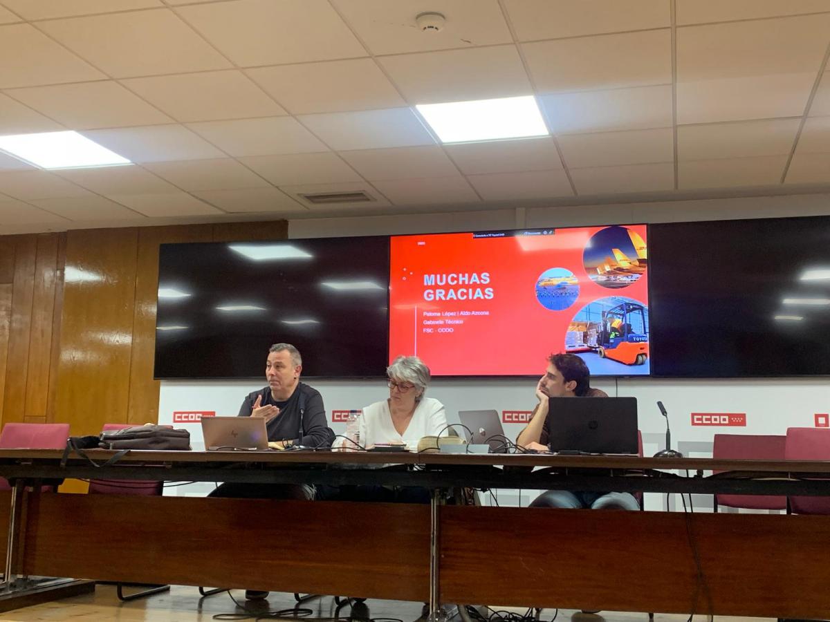Plenario RLT CCOO Grupo DHL (24/11/2025)